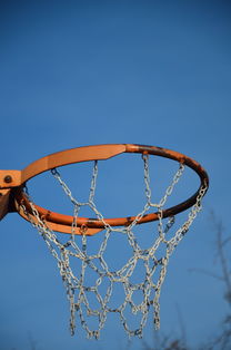 乐鱼体育app官网-NBA球队球员培养规划设计，nba对球员的要求是什么