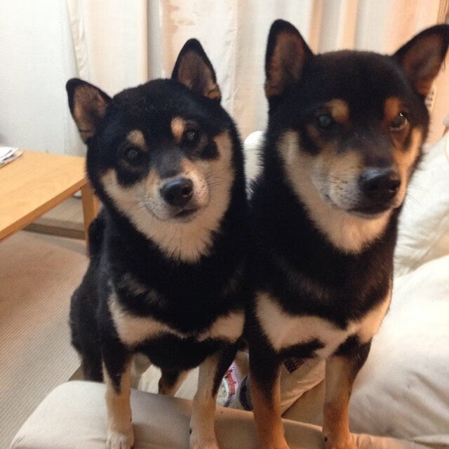 西甲球队借助热区热力图优化边路传中策略，西甲热度