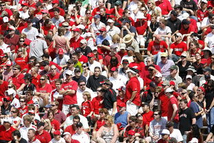 乐鱼体育官网登录-高校体育赛事观众体验提升策略研究，体育赛事审美体验