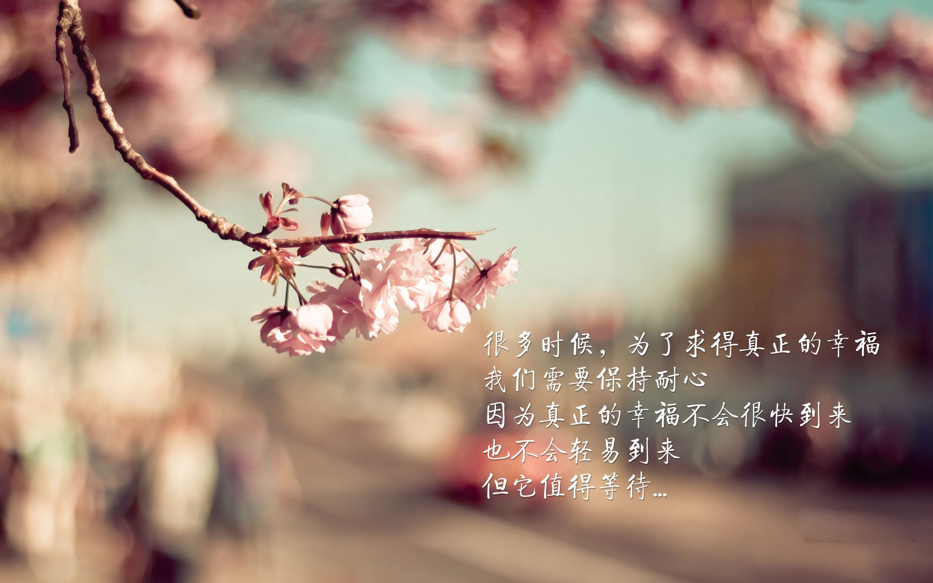 乐鱼体育在线网站-“快艇冲浪：速度与自由的完美碰撞在东三叉湖展开”