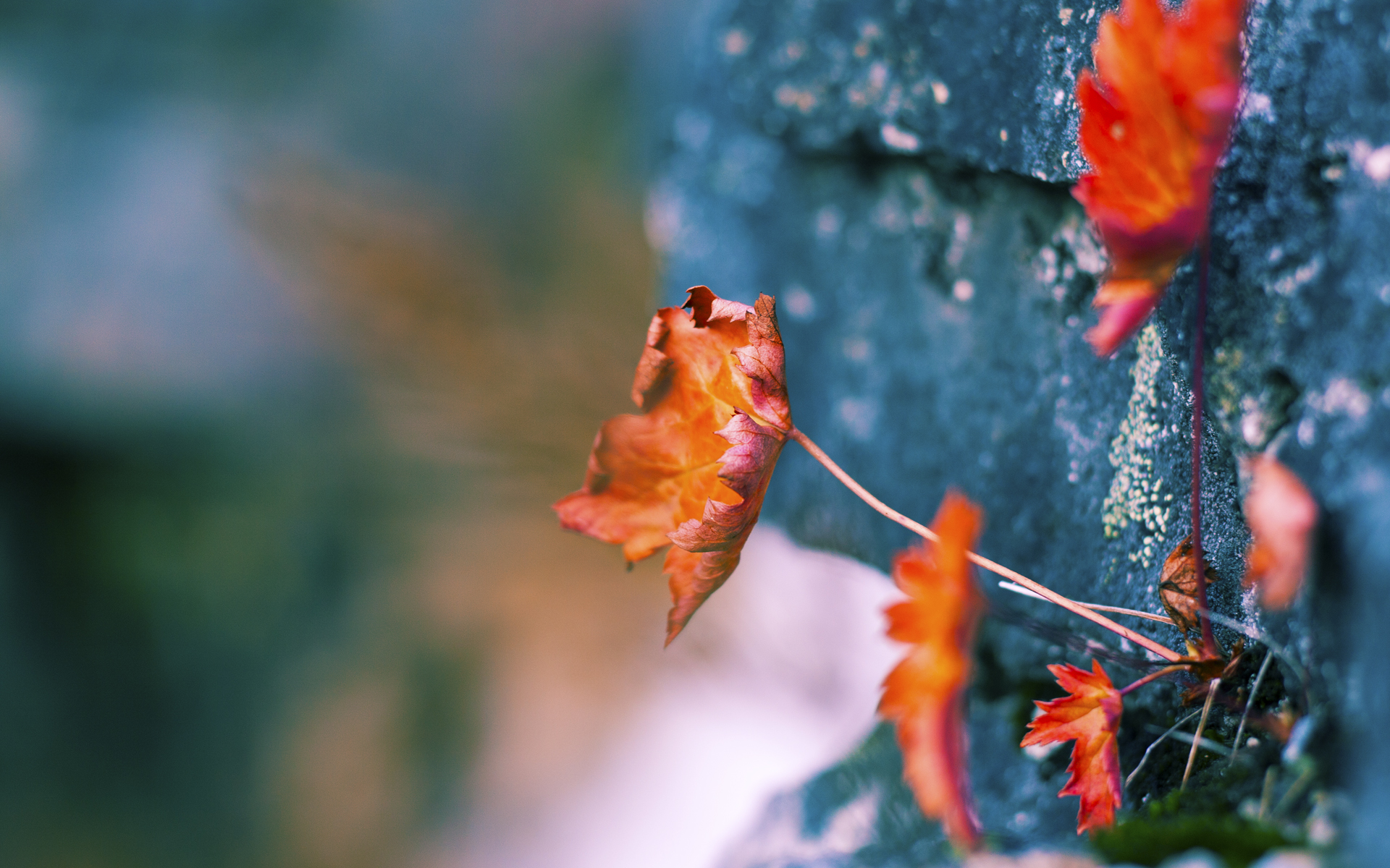 全运会视觉系统引入多色导视改善动线识别，多角度看全运会