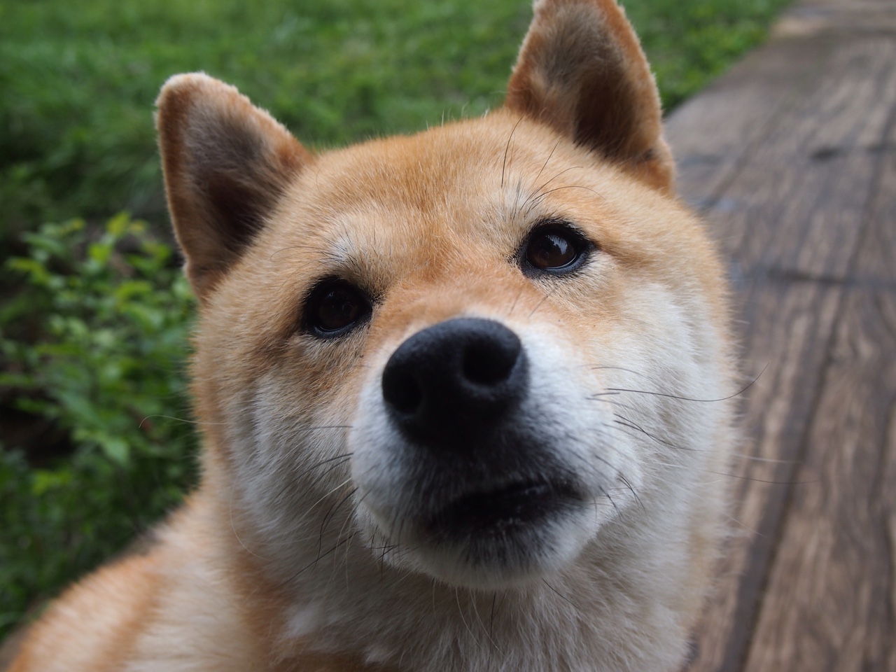 奥预赛中国青年队爆冷 球迷建议加强训练