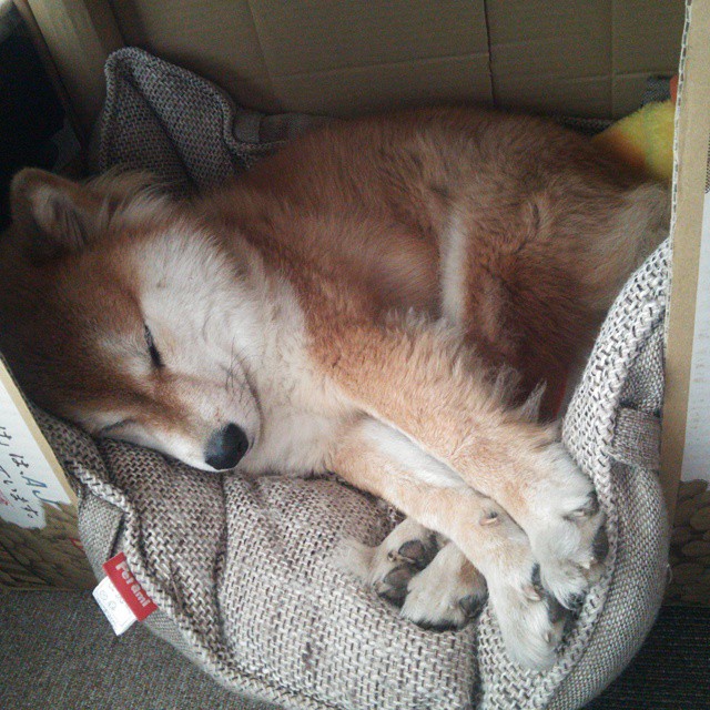 奥预赛中国青年队爆冷 球迷建议加强训练