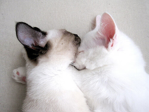 乐鱼体育在线官网-奥运备战全景观察 中国队都在练什么，我想看中国队的奥运会