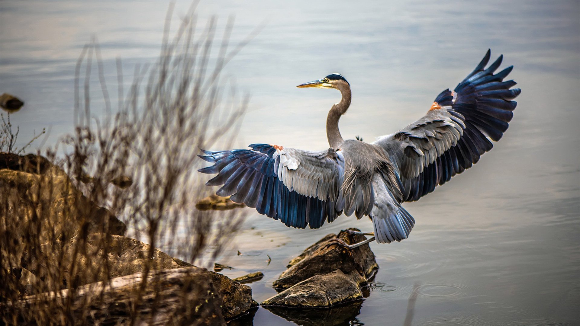 乐鱼体育在线登录-联盟最强得分手如何拆解防线，联盟第一得分手