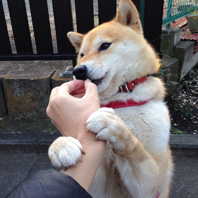 乐鱼体育-“胡利安·门德斯：阿根廷美洲狮队的创新性球员，未来持续爆发”