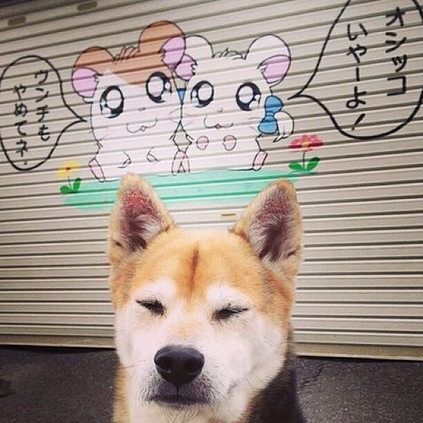 乐鱼体育登录入口-冠军杯推动英超球队国际交流，英国冠军杯联赛