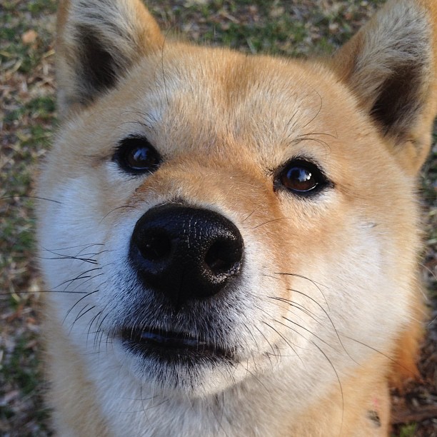 出发弹跳力提升,抢占领先优势,弹跳爆发训练