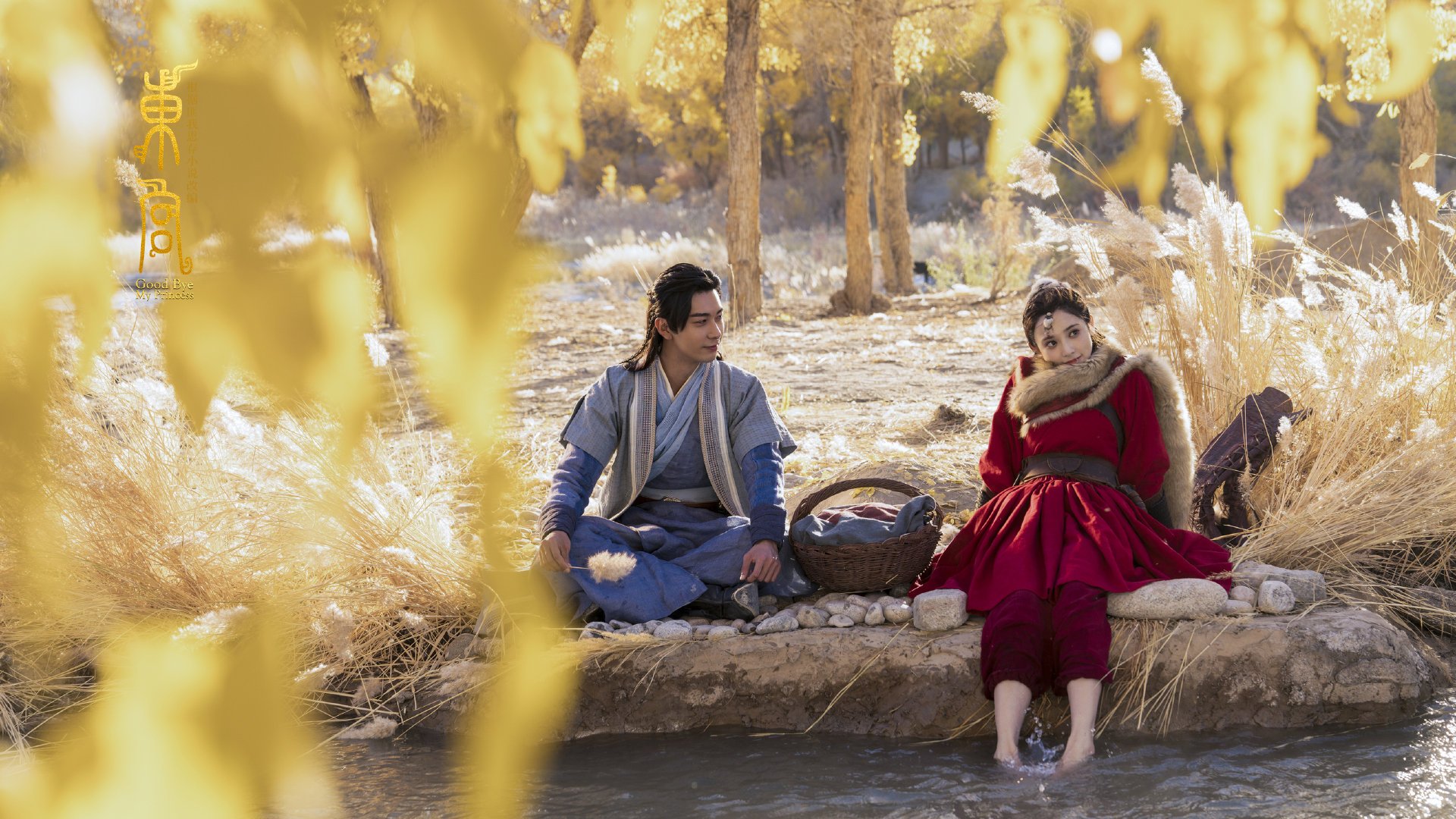 国家女篮注重团队协作和防守体系建设提高整体实力,国家篮球队女篮