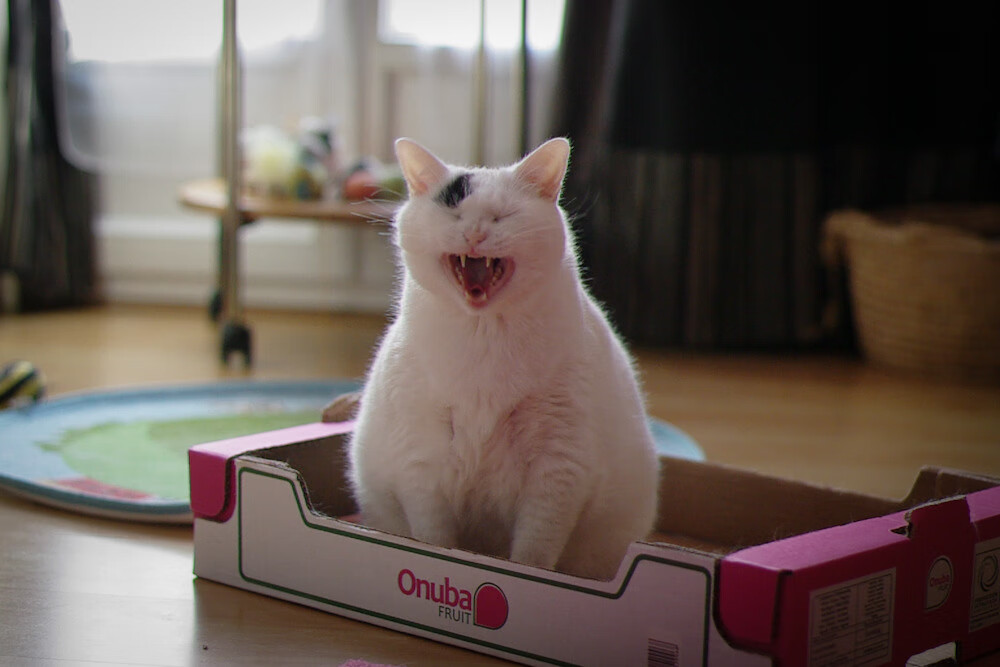 乐鱼体育网址-女子篮球引入情绪调控训练提升比赛情绪稳定性，女子篮球队训练方法